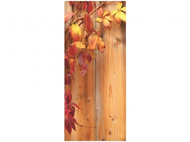 FOR WALL fototapetai 0189VET FOR WALL fototapetai 0189VET