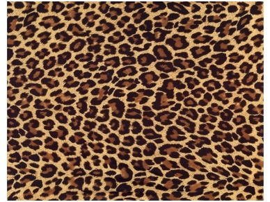 FOR WALL fototapetai 0190VE XXXL
