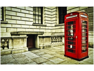 FOR WALL fototapetai 1910VE XL