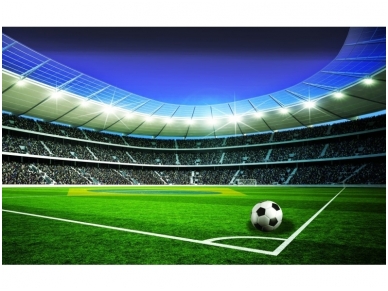 FOR WALL fototapetai 1914VE P8
