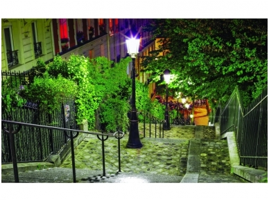 FOR WALL fototapetai 1916VE M