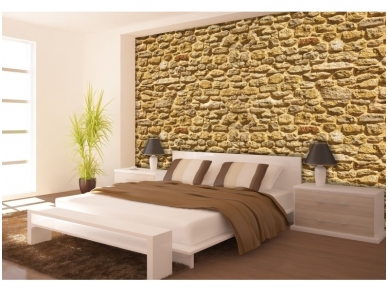 FOR WALL fototapetai 1929VE XXXL 1 FOR WALL fototapetai 1929VE XXXL 1