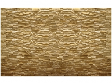 FOR WALL fototapetai 1931VE XL