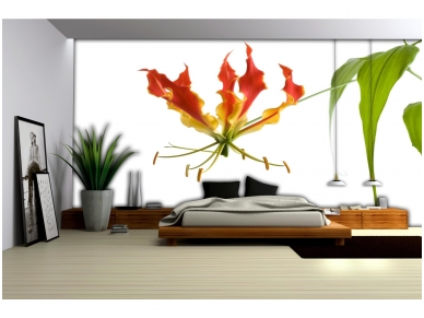 FOR WALL fototapetai 0193VE M 1