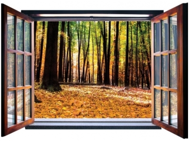 FOR WALL fototapetai 1953VEZ4