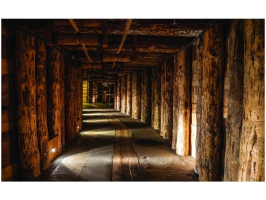 FOR WALL fototapetai 1962VE P4