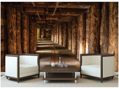 FOR WALL fototapetai 1962VE P4 1