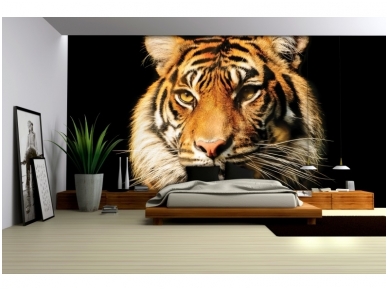 FOR WALL fototapetai 1964VE XXL 1