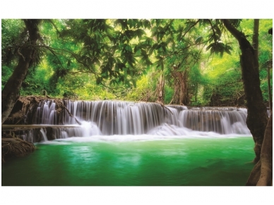 FOR WALL fototapetai 1966VE XL