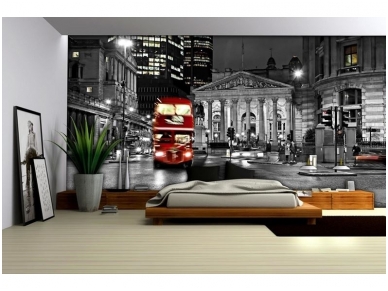 FOR WALL fototapetai 0196VE XL 1
