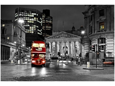 FOR WALL fototapetai 0196VE XXL