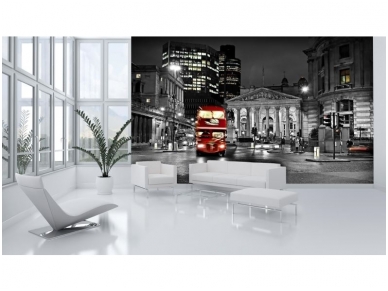 FOR WALL fototapetai 0196VE XXXL 2