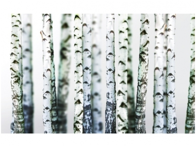 FOR WALL fototapetai 1970VE P4 FOR WALL fototapetai 1970VE P4
