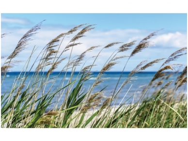 FOR WALL fototapetai 1976VE P4