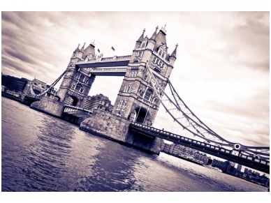 FOR WALL fototapetai 0197VE P8
