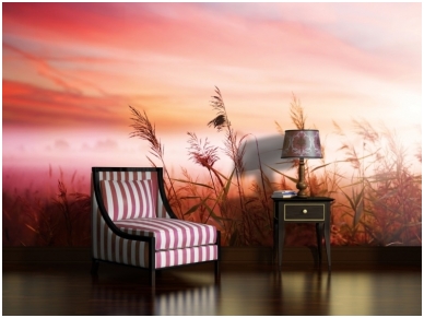 FOR WALL fototapetai 1994VE XXXL 1