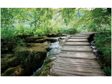 FOR WALL fototapetai 1995VE P8