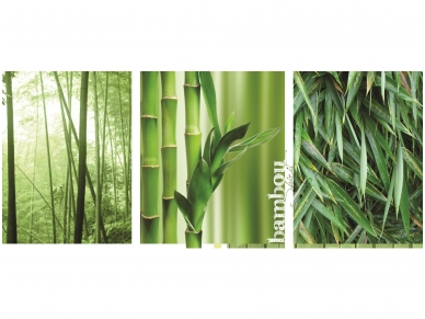 FOR WALL fototapetai 02-180VEP