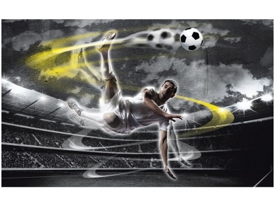 FOR WALL fototapetai 2000VE XXL FOR WALL fototapetai 2000VE XXL