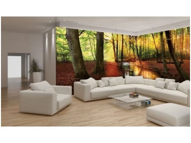 FOR WALL fototapetai 2018VEE 1 FOR WALL fototapetai 2018VEE 1