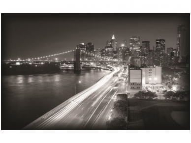 FOR WALL fototapetai 0203VE XXXL