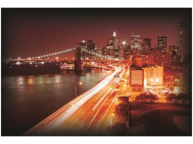 FOR WALL fototapetai 0206VE P8
