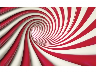FOR WALL fototapetai 2148VE P8