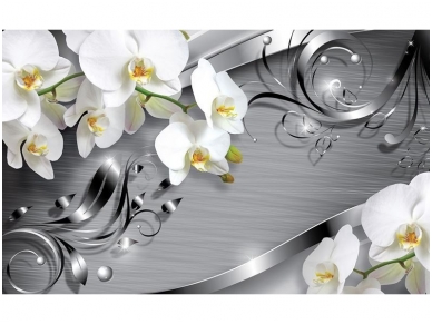 FOR WALL fototapetai 2158VE XXXL