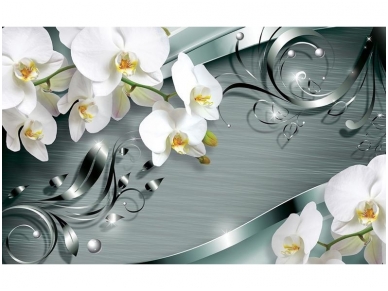 FOR WALL fototapetai 2160VE XXXL