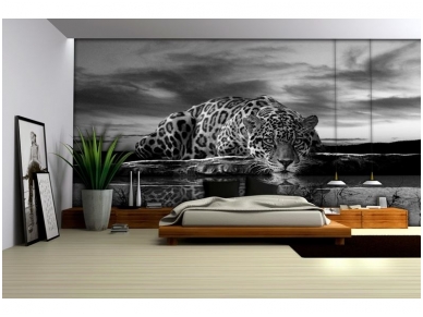 FOR WALL fototapetai 0218VE XL 1