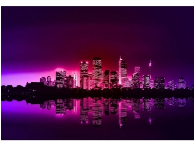 FOR WALL fototapetai 0220VE XXL