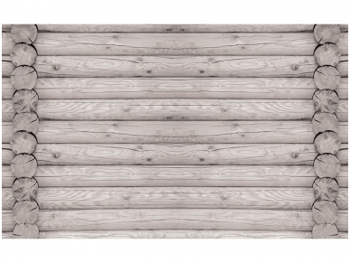 FOR WALL fototapetai 2213VE XXXL