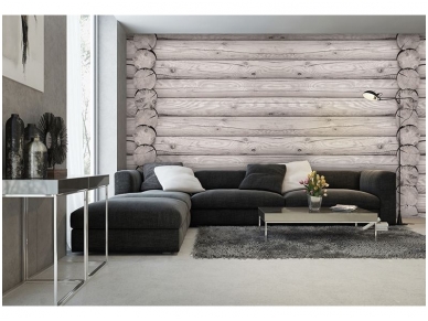 FOR WALL fototapetai 2213VE XXXL 1
