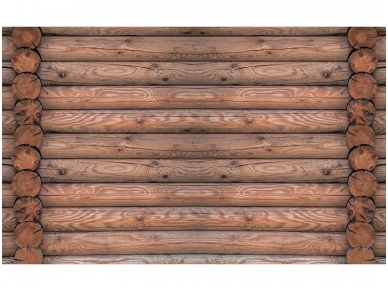FOR WALL fototapetai 2214VE XXXL