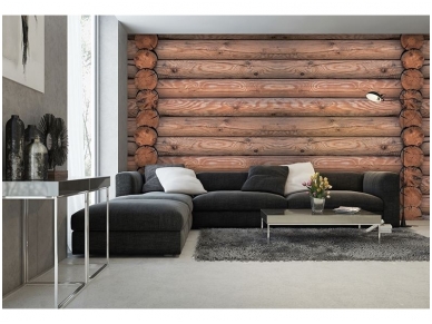 FOR WALL fototapetai 2214VE XXXL 1