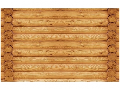 FOR WALL fototapetai 2215VE XXXL
