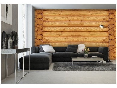 FOR WALL fototapetai 2215VE XXXL 1