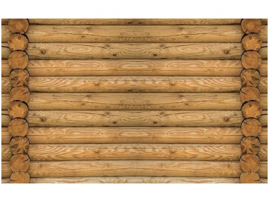 FOR WALL fototapetai 2216VE XXXL