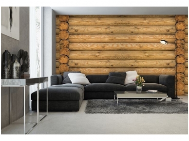 FOR WALL fototapetai 2216VE XXXL 1