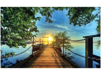 FOR WALL fototapetai 2223VE XXXL