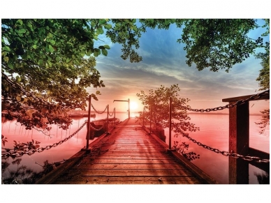 FOR WALL fototapetai 2224VE XXXL