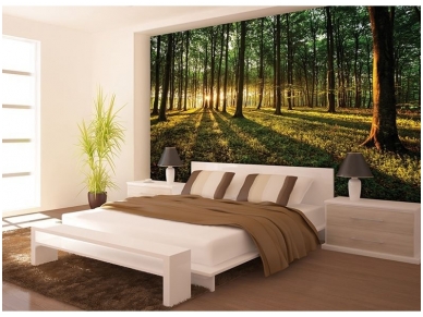 FOR WALL fototapetai 2225VE XXL 1