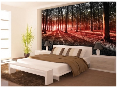 FOR WALL fototapetai 2227VE XXXL 1