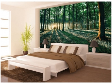 FOR WALL fototapetai 2228VE XXXL 1