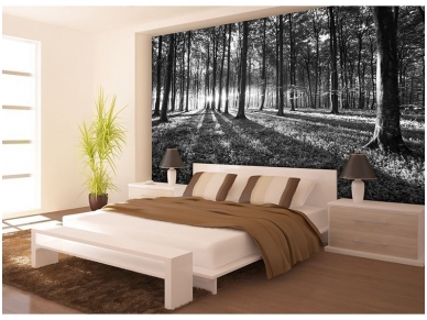 FOR WALL fototapetai 2229VE XXXL 1