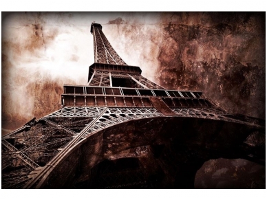 FOR WALL fototapetai 0223VE L