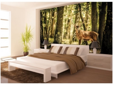 FOR WALL fototapetai 2286VE XXXL 1
