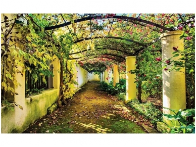 FOR WALL fototapetai 2296VE P8