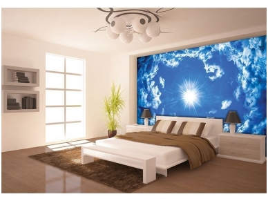 FOR WALL fototapetai 2306VE XXL 1