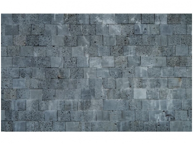 FOR WALL fototapetai 2319VE XXXL
